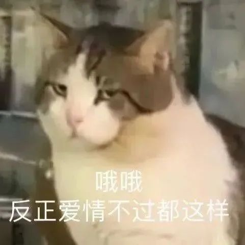大杂烩表情系列