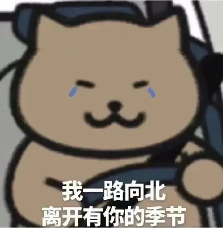 周杰伦歌词小熊