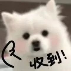 阿狗猕猴桃表情包