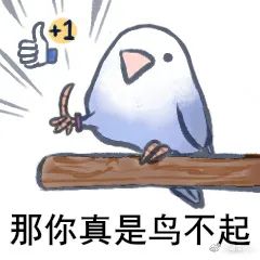 色禽鸟表情包集合