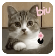 超可爱猫猫狗狗表情包